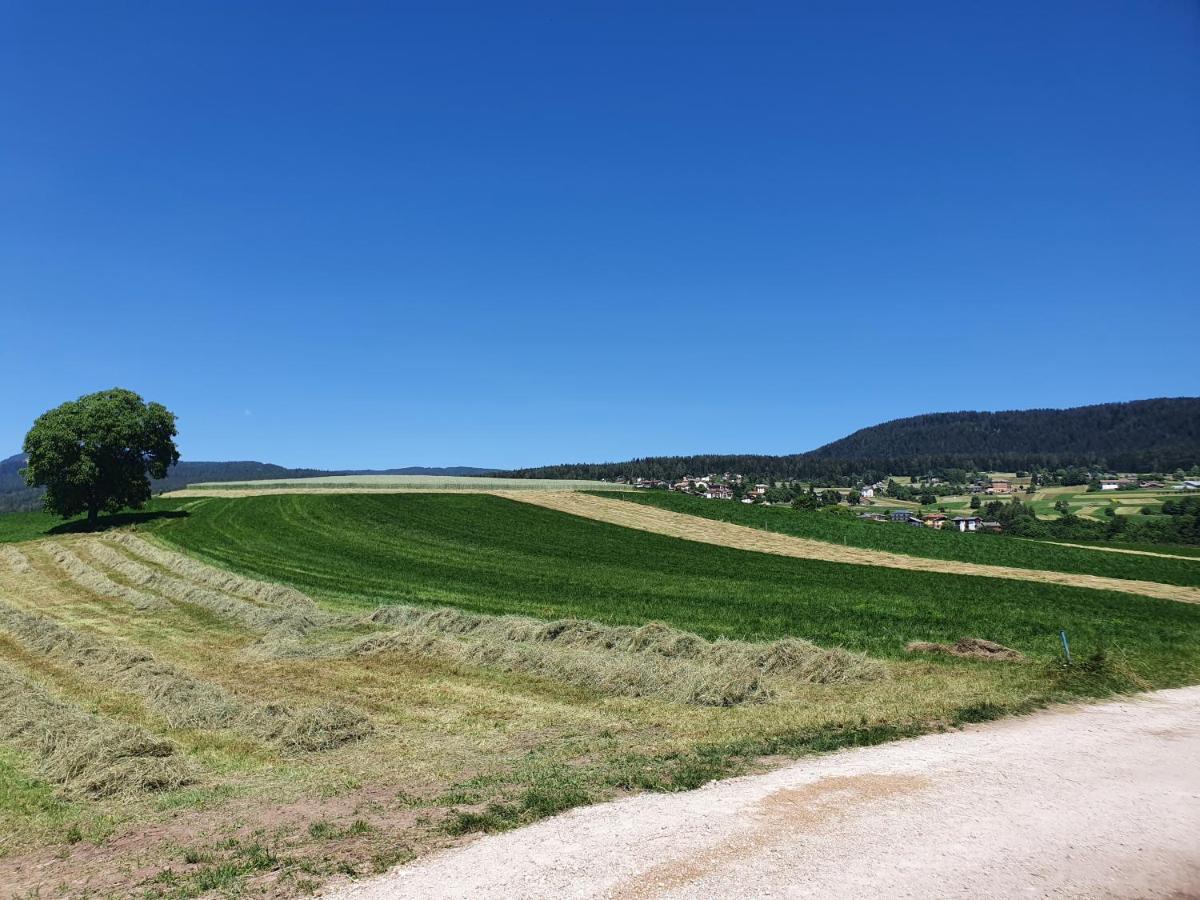 Agritur Belsogno Villa Brez Eksteriør billede
